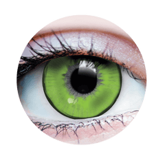 Verre de contact - Roi lézard Primal