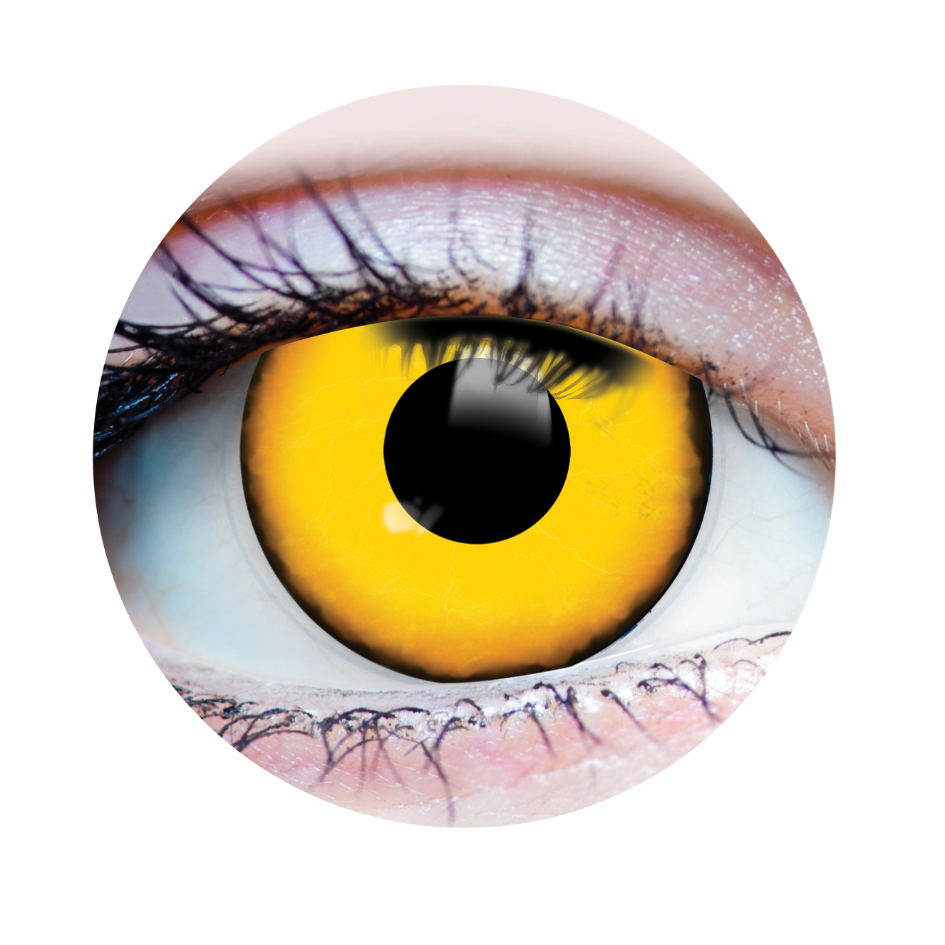 Verre de contact - Méchant Primal