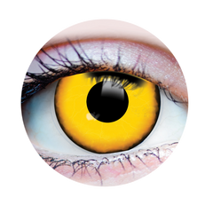 Verre de contact - Méchant Primal