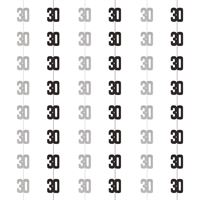 Décorations suspendues - GLITZ 30 - Noir et Argent - 5'