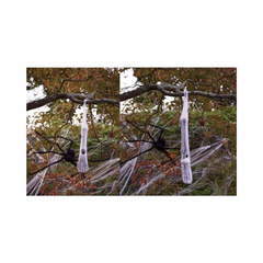 Limb in a spider cocoon - 36"