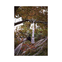 Limb in a spider cocoon - 36"