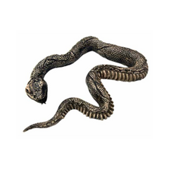 Serpent squelette pourri