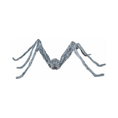 Large gray spider