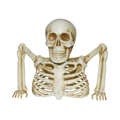 Brise-terre squelette