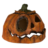 Citrouille Pourrie - 2 Ghoulish