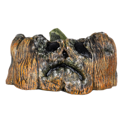 Citrouille Pourrie - 5 Ghoulish