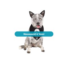 Bandana pour chien - Ghost Face - Noir Fun World