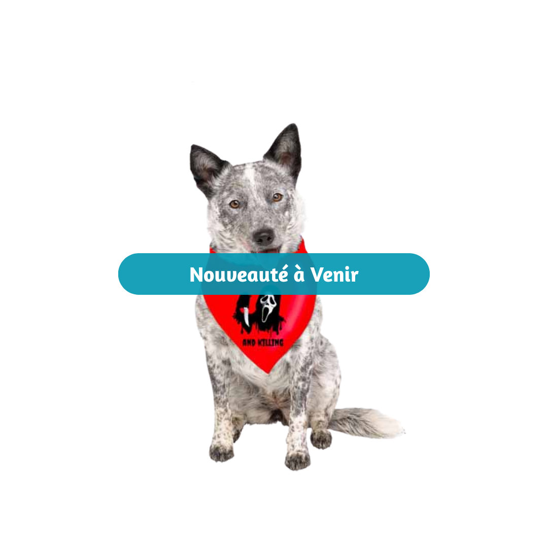 Bandana pour chien - Ghost Face - Rouge Fun World