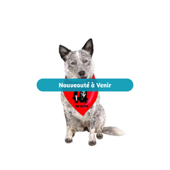 Bandana pour chien - Ghost Face - Rouge Fun World