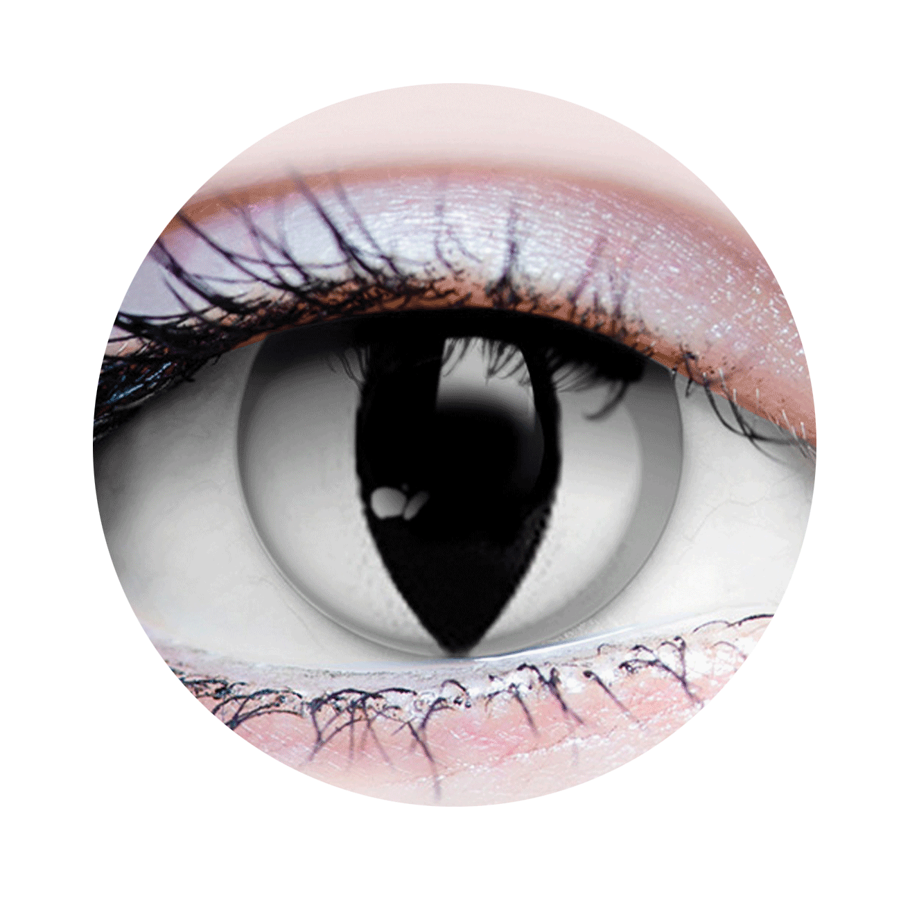 Verre de contact - Venin Primal