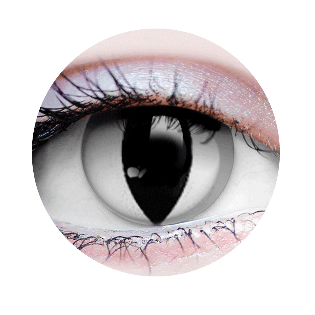 Verre de contact - Venin Primal