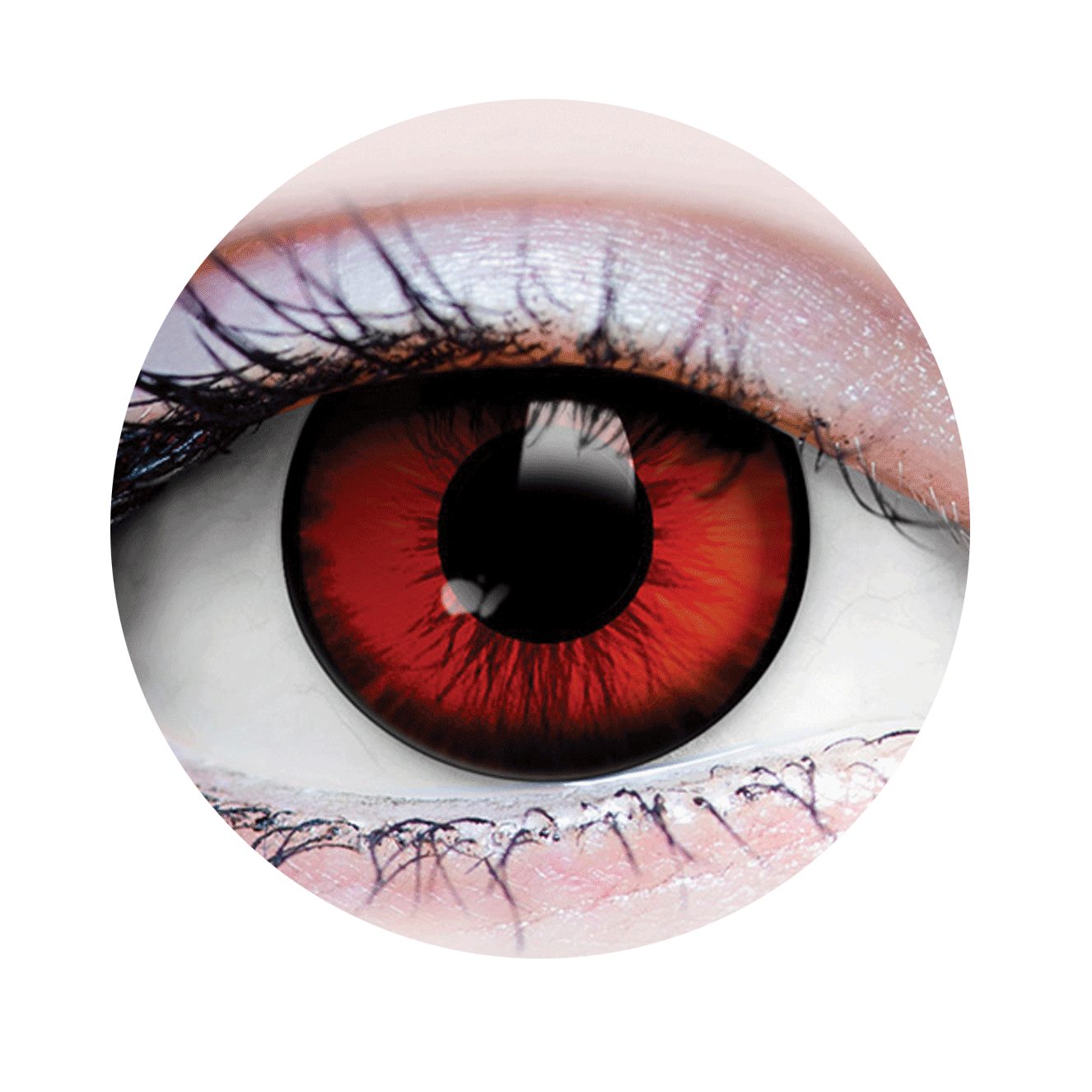 Verre de contact - Dracula Primal