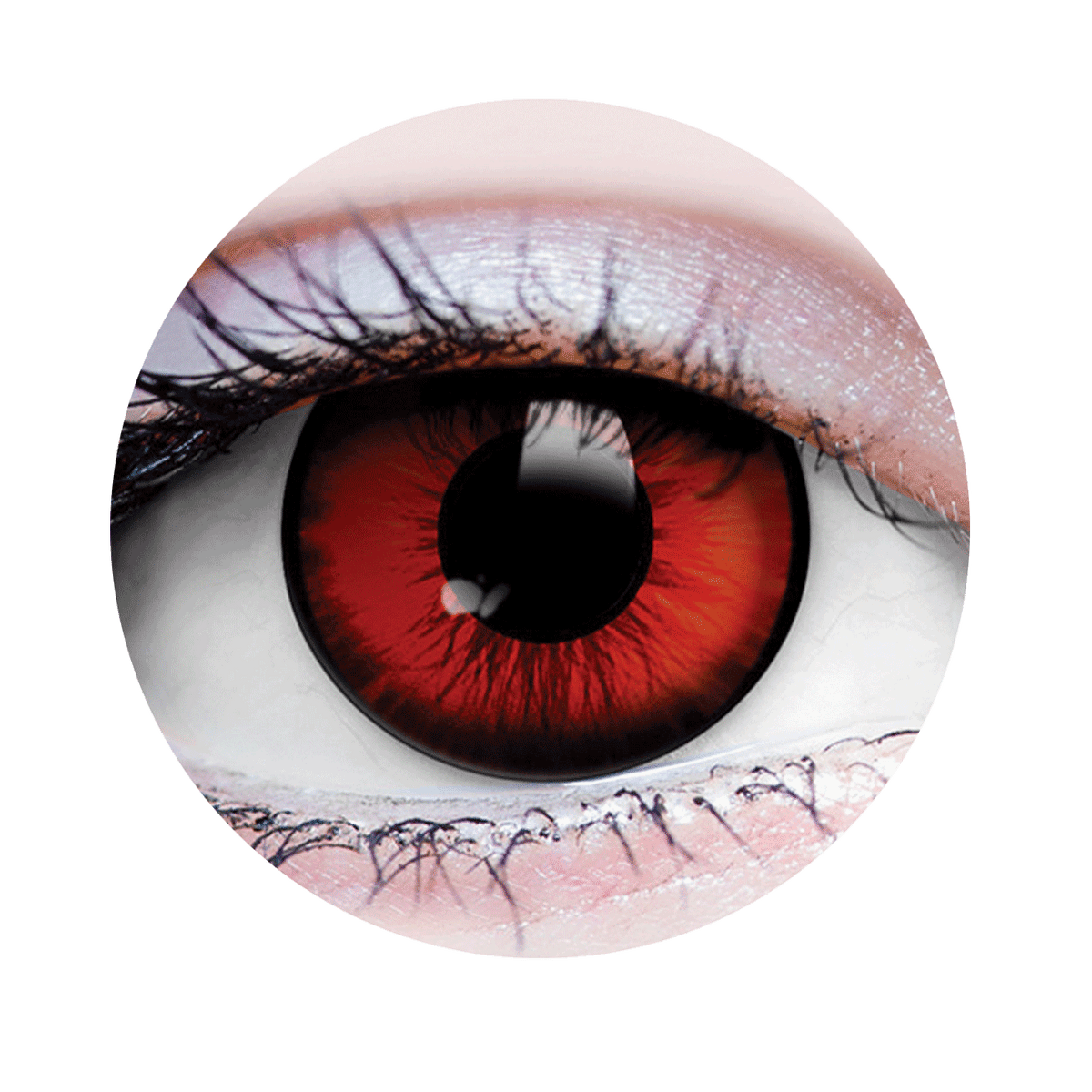 Verre de contact - Dracula Primal