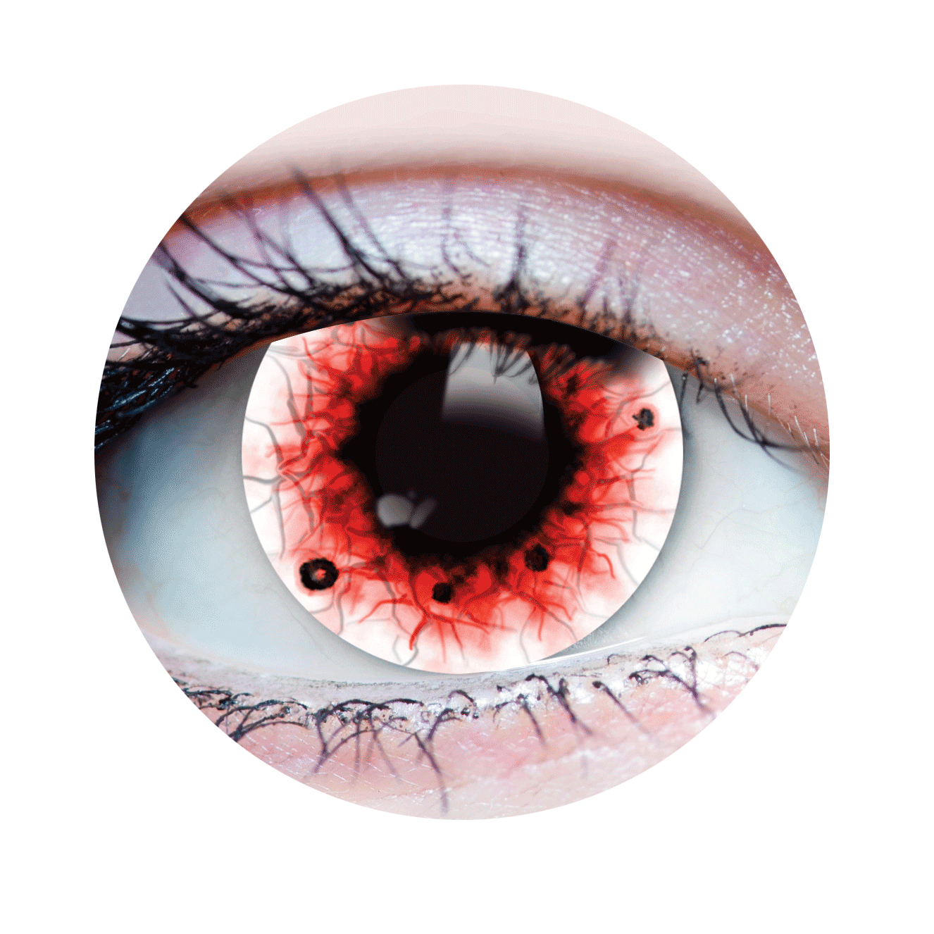 Verre de contact - Spectre II Primal