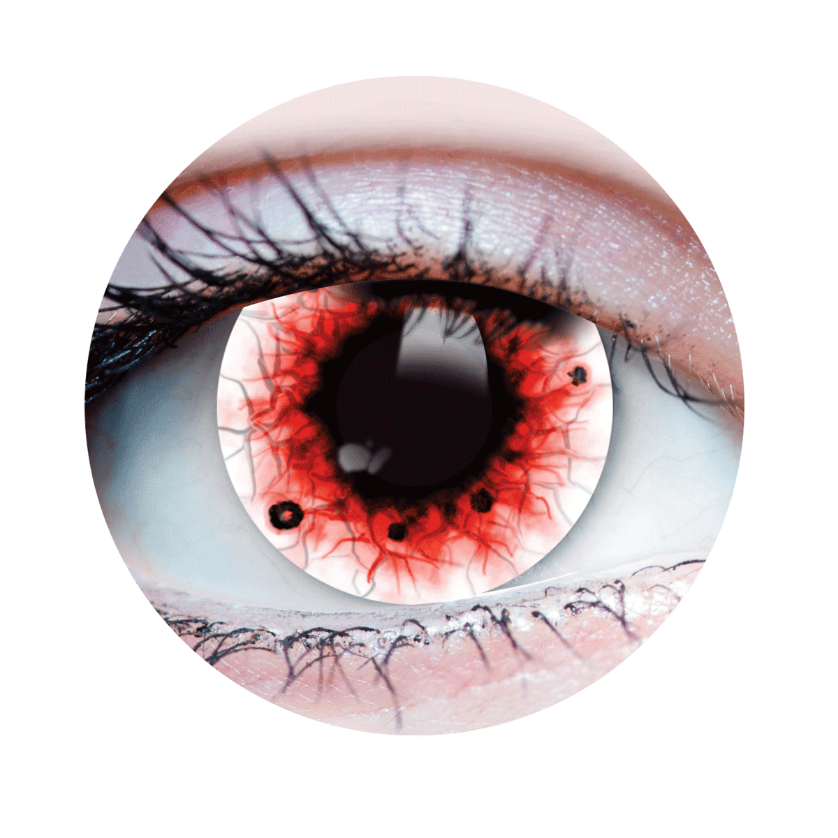 Verre de contact - Spectre II Primal