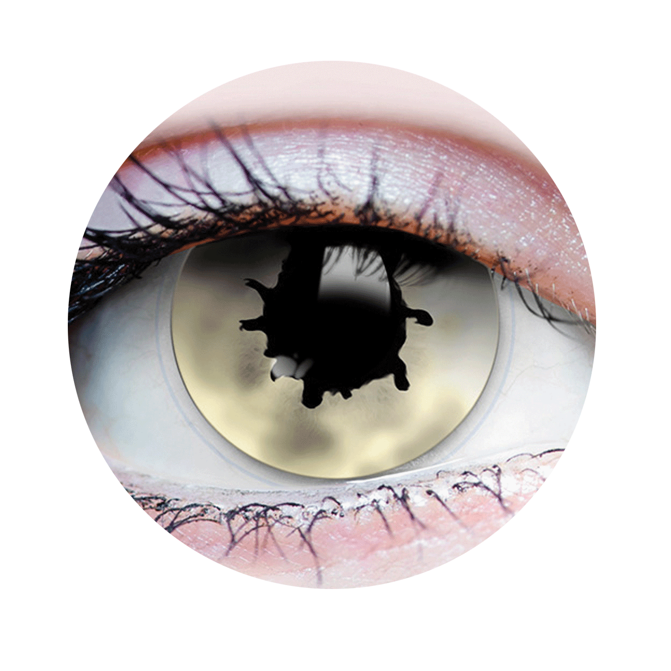 Verre de contact - Contagion I Primal