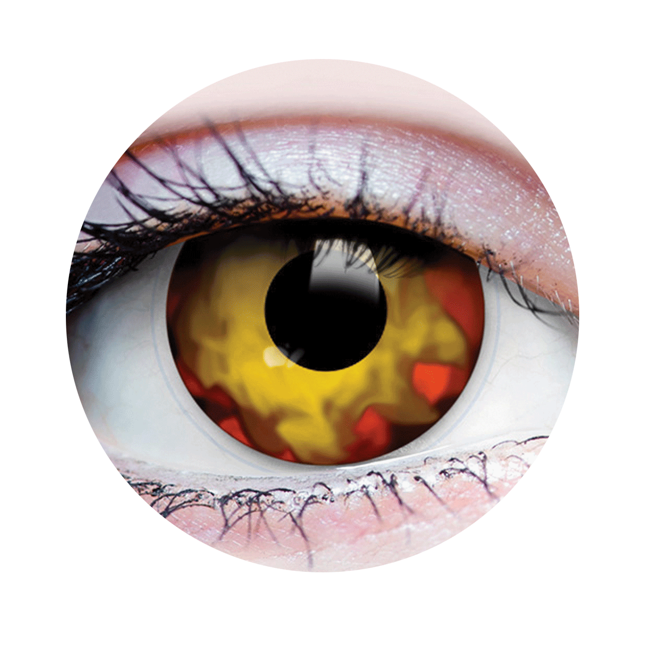 Verre de contact - Walking Dead I Primal
