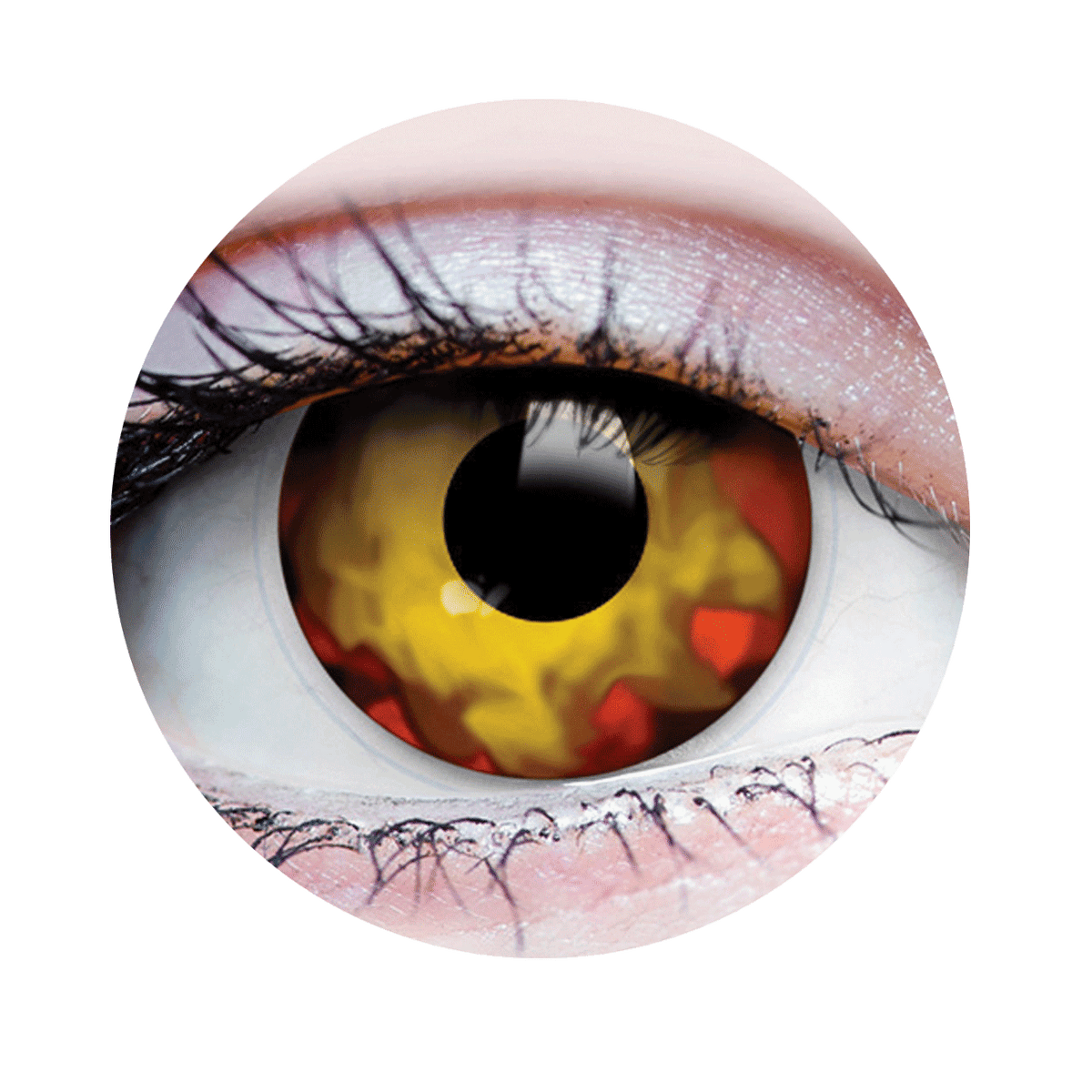 Verre de contact - Walking Dead I Primal