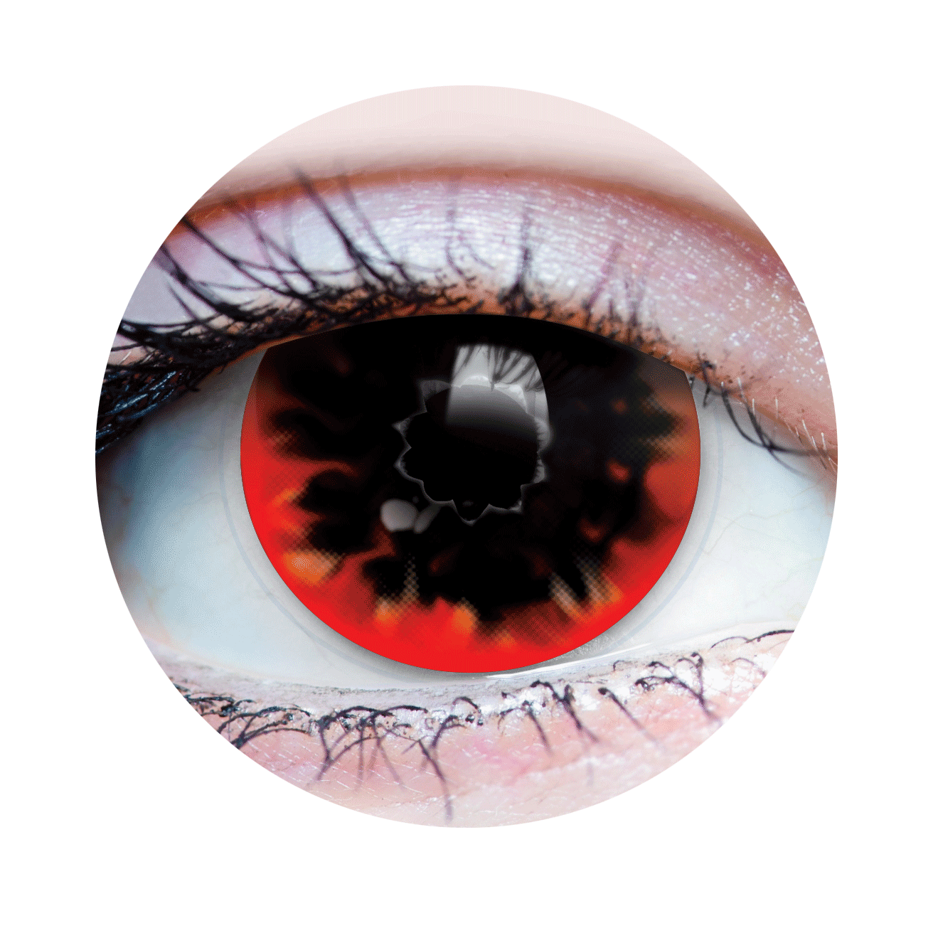 Verre de contact - Torch Primal