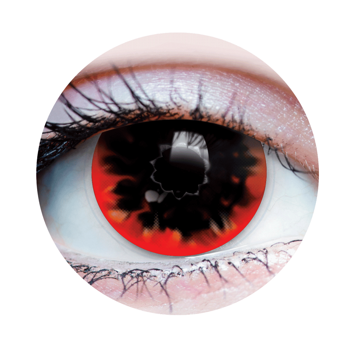 Verre de contact - Torch Primal