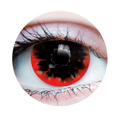 Verre de contact - Torch Primal