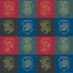 Papier cadeau - Harry Potter