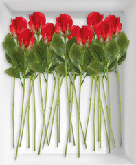 Rose rouge - 36cm