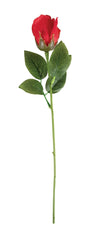 Rose rouge - 36cm