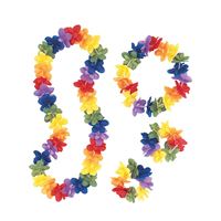 Ensemble hawaïen de fleurs arc-en-ciel