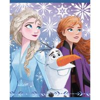 Sacs surprises – La Reine des Neiges 2 – 8/Pqt