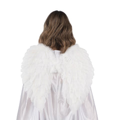 Ailes - Blanches