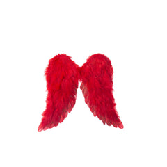 Ailes - Rouges