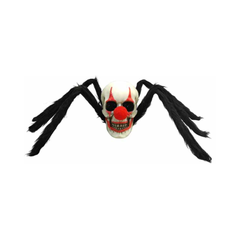 Araignée clown Sunstar