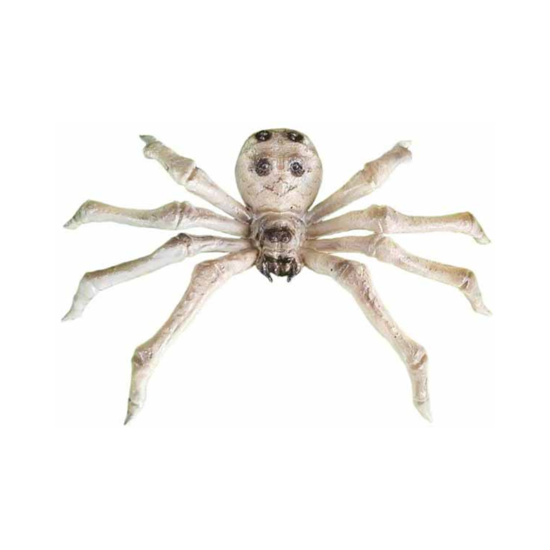 Araignée squelette – 9" Sunstar
