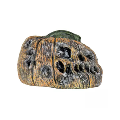 Citrouille Pourrie - 6 Ghoulish