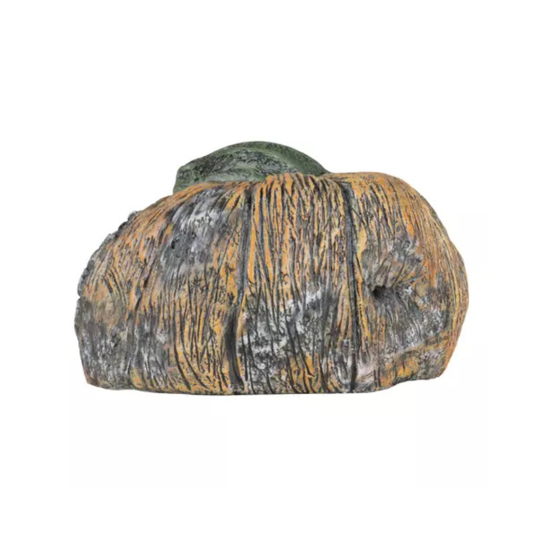 Citrouille Pourrie - 6 Ghoulish