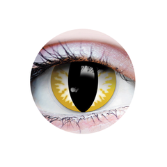 Verres de Contact - Thriller Primal