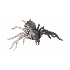 Araignée squelette pourrie