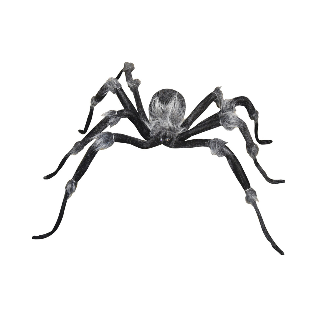 Araignée