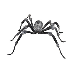 Araignée