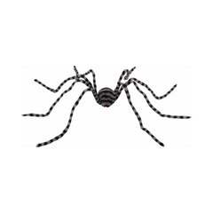 Araignée Géante