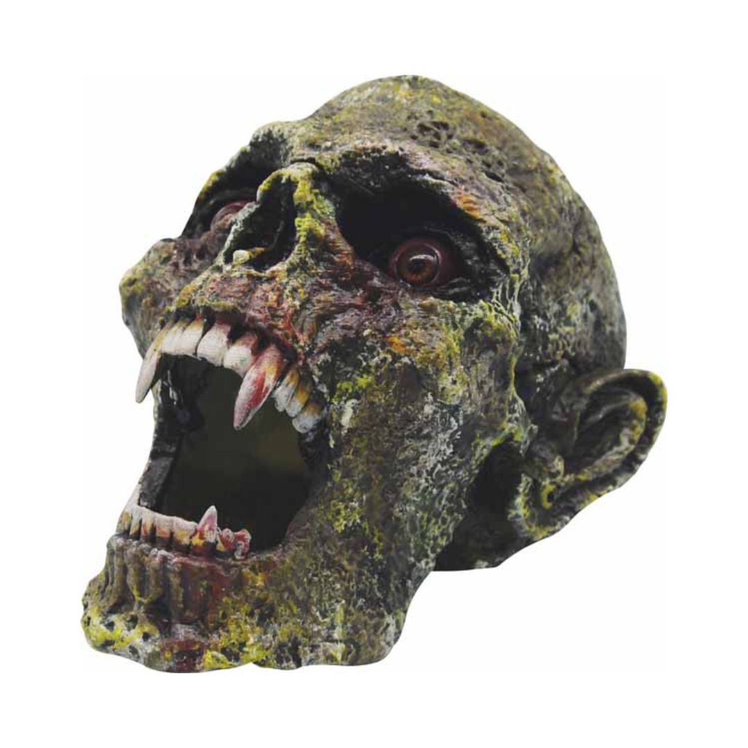 Crâne de vampire avec crocs