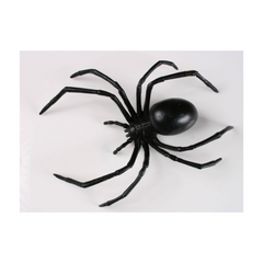 Araignée veuve noire - 6"