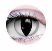 Verre de contact - Venin