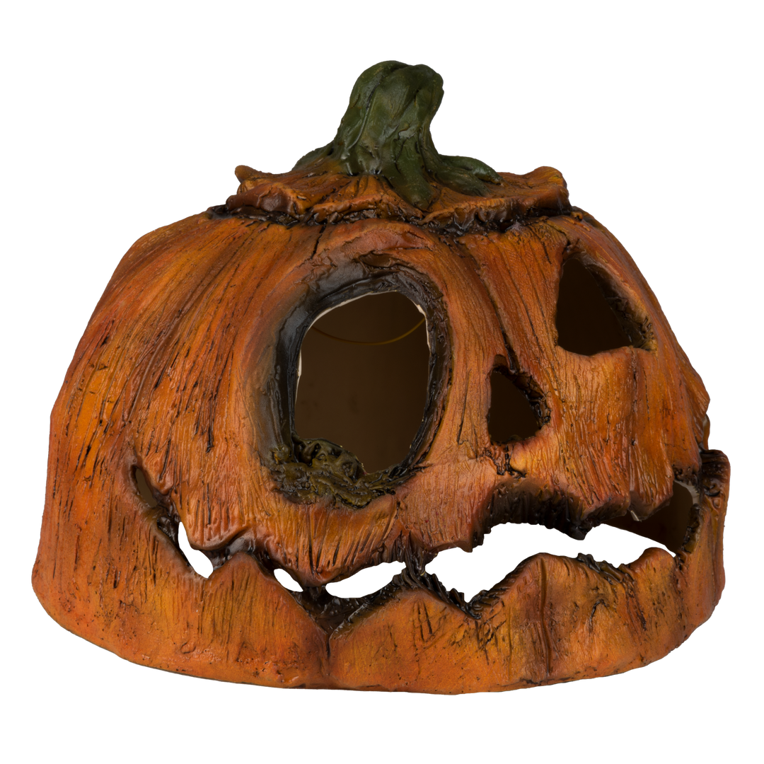 Citrouille Pourrie - 2 Ghoulish