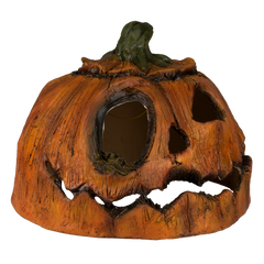 Citrouille Pourrie - 2 Ghoulish