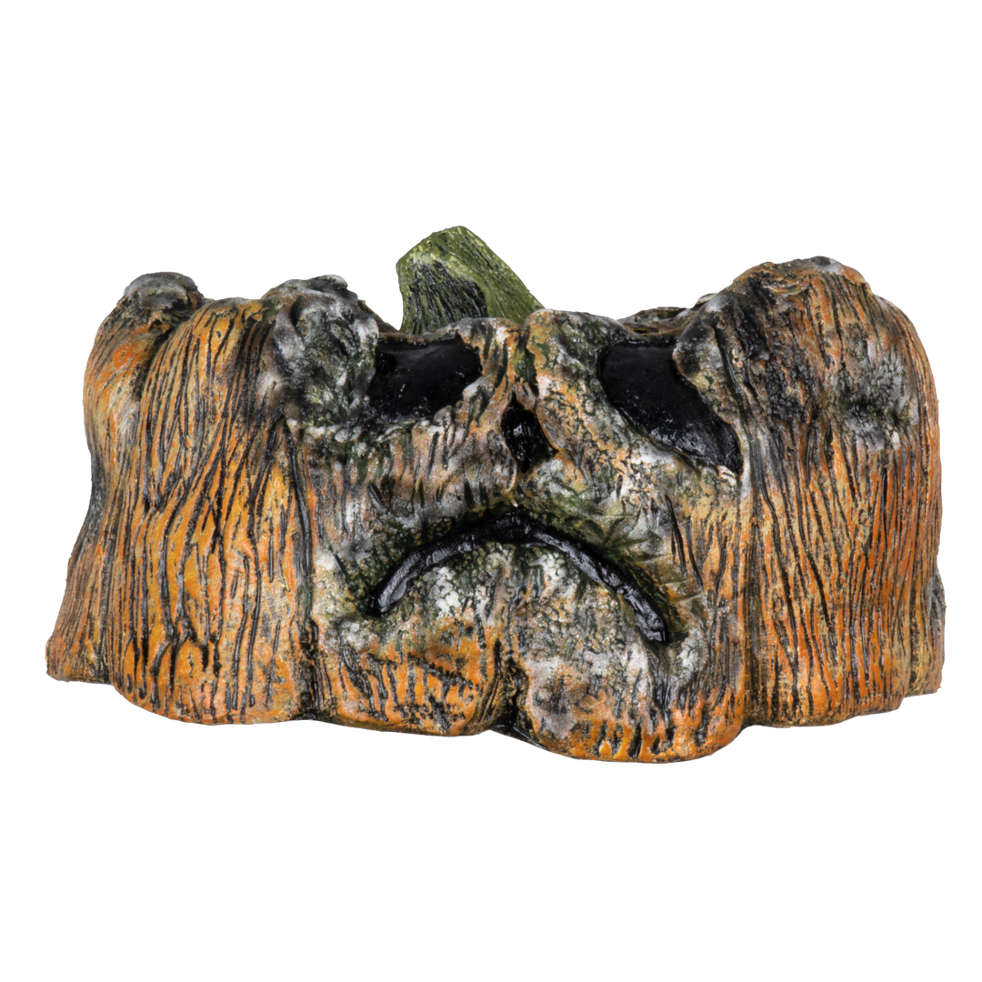 Citrouille Pourrie - 5 Ghoulish