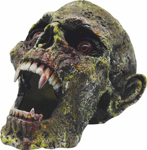 Crâne de vampire avec crocs
